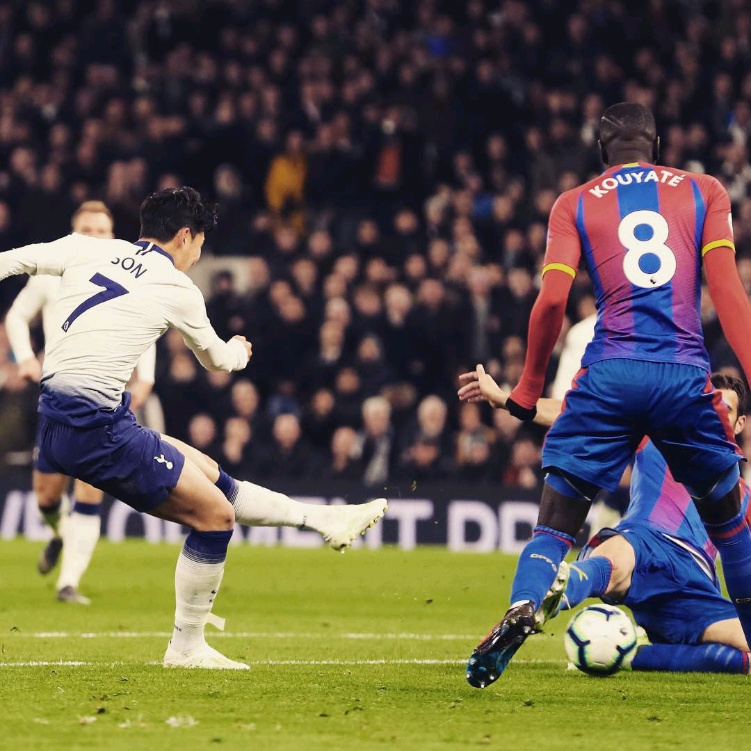 仅仅代表一 仅仅代表一